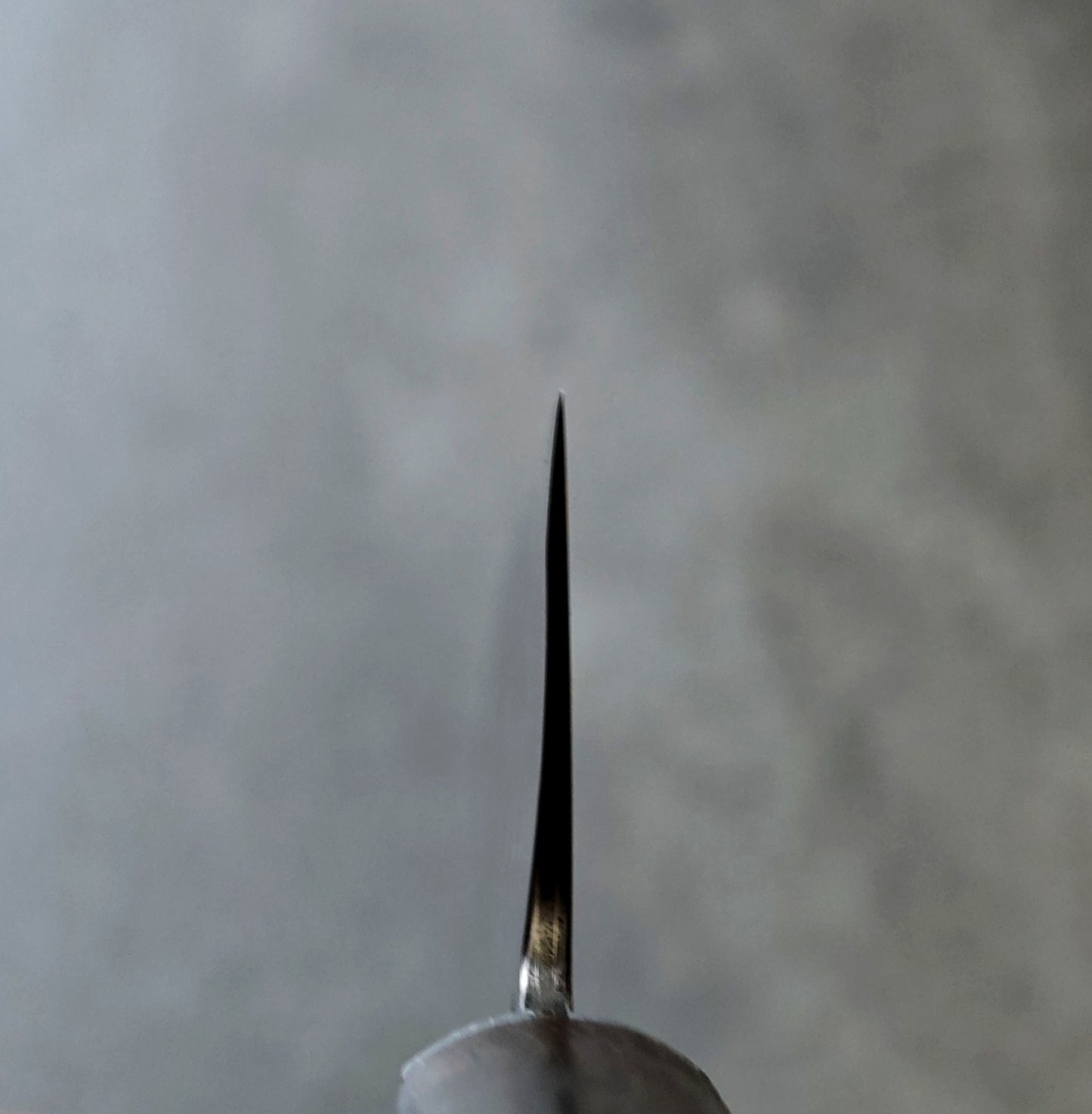 Dammi cladded ApexUltra S-Grind Gyuto